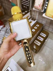 Mic karaoke YS-91 (40c giá 300k)