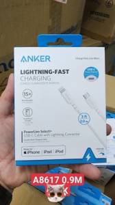 Cáp Anker A8617 c to ip 0.9m