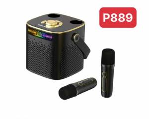 Loa Karaoke Bluetooth p889 Kèm 2 Micro 