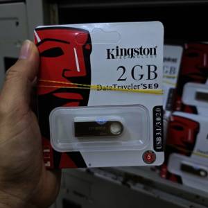 Usb Kingston SE9 2g copy (L1)