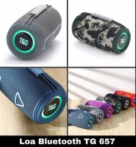 Loa bluetooth T&G TG-657