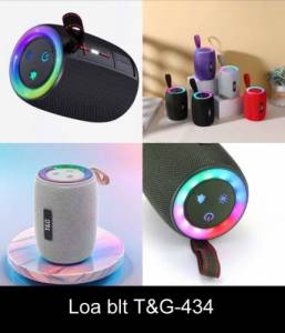 Loa bluetooth T&G TG-434