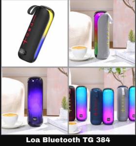 Loa bluetooth T&G TG-384